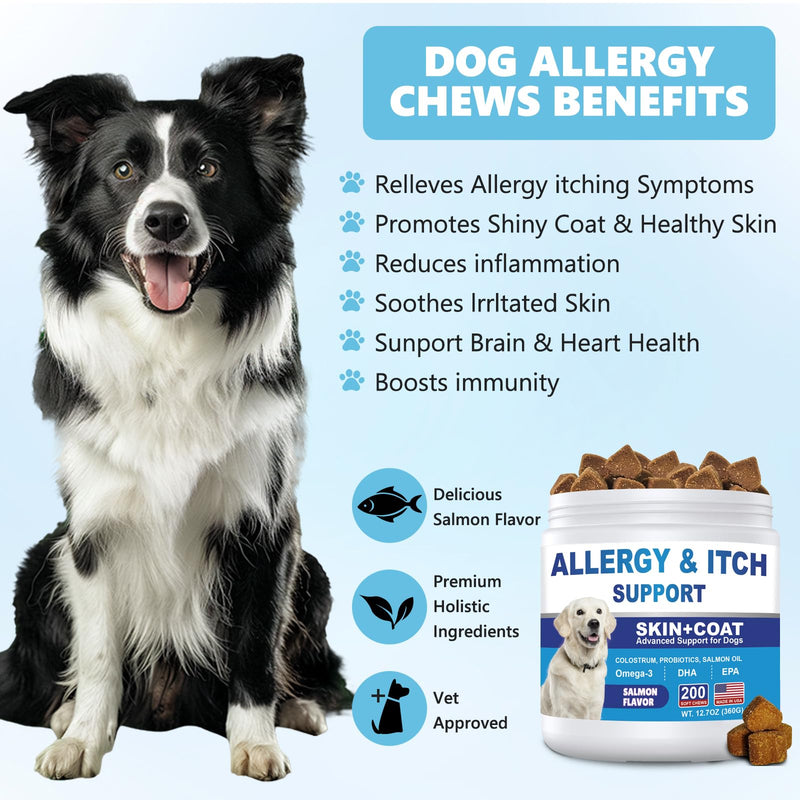 Dog Allergy Chews 200ct, Dog Allergy and Itching Skin Relief Bites Anti-Itch Skin & Coat Supplement Immune Support with Colostrum for Itchy Skin and Itchy Ears Licking Paws for Dogs Seasonal Allergies Salmon