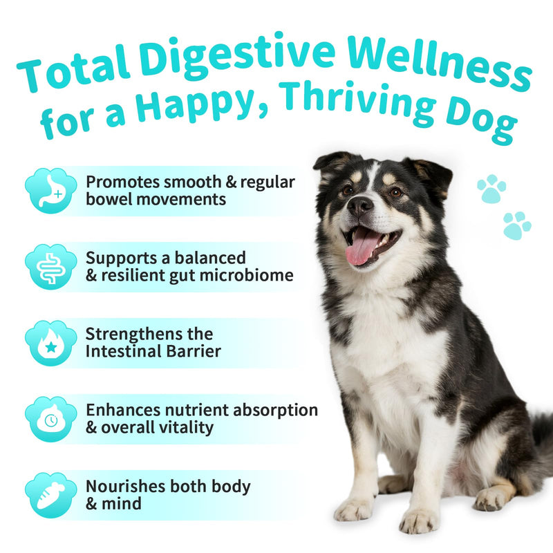 Probiotics for Dogs, Digestive Enzymes & Pumpkin Fiber for Gut Health and Bowel Support, Dog Supplement for Gas Relief & Constipation, 10B CFU with 5 Prebiotics & 5 Enzymes, 90 Count Beef Flavor 90 Count (Pack of 1)