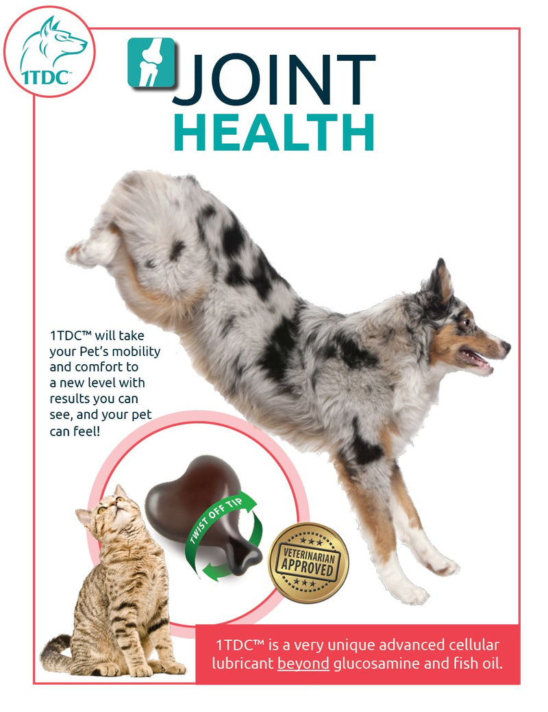 WorksSoWell Dual Action Natural Support - 120 Twist Off Soft Gels | Delivers 4 Health Benefits for Dogs & Cats | Supports Oral, Hip, Joint, Skin, Coat Health, Muscle & Stamina Recovery - PawsPlanet Australia
