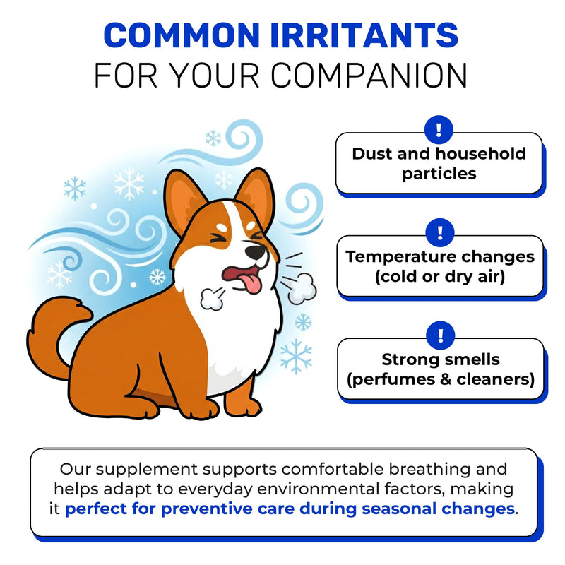 Dry & Wet Kennel Cough Medicine for Dogs and Cats: Effective Supplement for Sneezing, Allergies, and Runny Nose – Lickable Dog Cough Medicine for Breathing Care – 10 Sticks x 5 g 10 creamy sticks (1.76 Fl Oz)