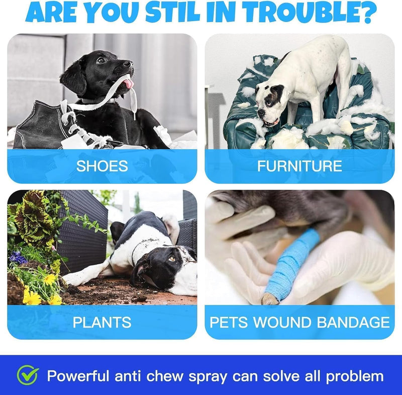 Bitter Apple Dog Spray, Anti Chew Deterrent for Dogs with Natural Citrus & Rosemary, Helps Protect Furniture, Shoes, Plants & Bandages from Chewing and Licking, 120ml