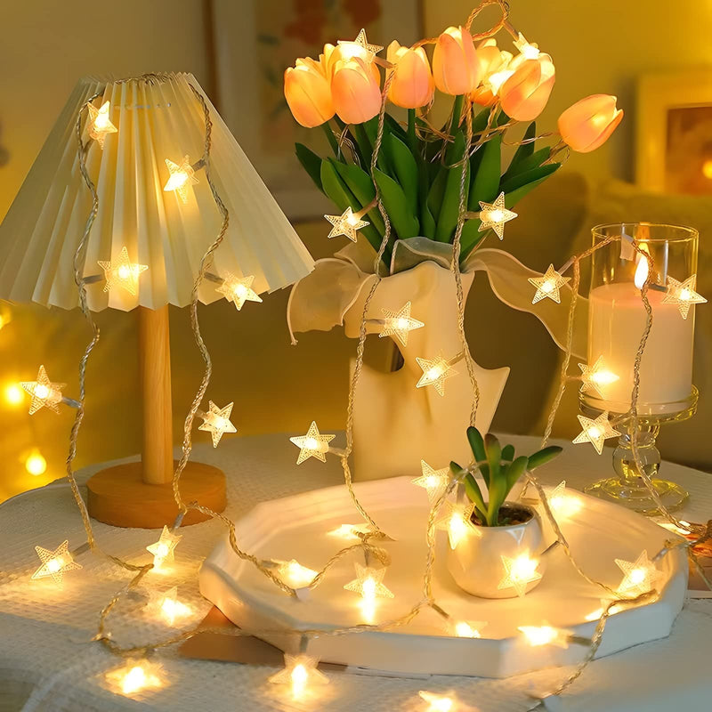 ANJAYLIA 20 LED Star String Lights 10 FT Fairy Christmas Lights Battery Operated for Indoor & Outdoor, Party, Wedding and Holiday Decorations Warm White 10 Feet