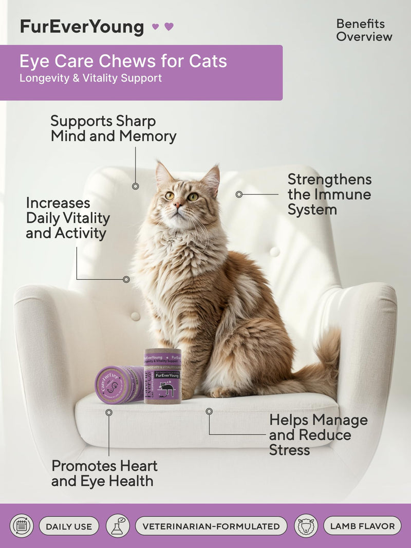 Supplement Treats for Senior Cats ~ Vision & Brain Longevity | Premium Feline Supplement | Functional Mushroom Complex + Taurine | Vet-Formulated with DHA, Arachidonic Acid & L-Arginine