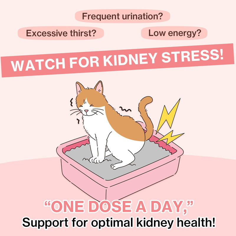 Dr.by HB Care Hairball Supplement for Cats Hairball Relief Furball Control Remedy + Dr.by UT Care Cat UTI Kidney Support Urinary Supplement Cranberry Treatment for Cats