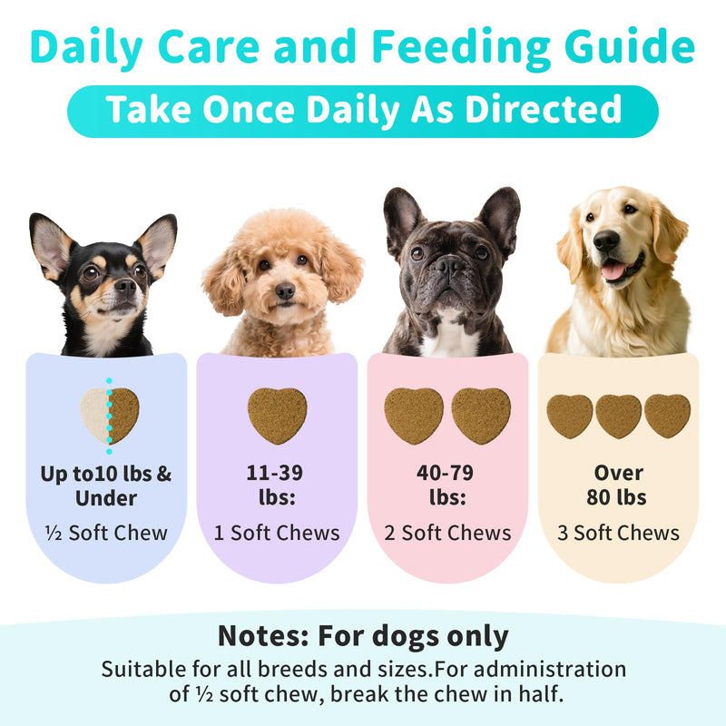 Probiotics for Dogs, Digestive Enzymes & Pumpkin Fiber for Gut Health and Bowel Support, Dog Supplement for Gas Relief & Constipation, 10B CFU with 5 Prebiotics & 5 Enzymes, 90 Count Beef Flavor 90 Count (Pack of 1)
