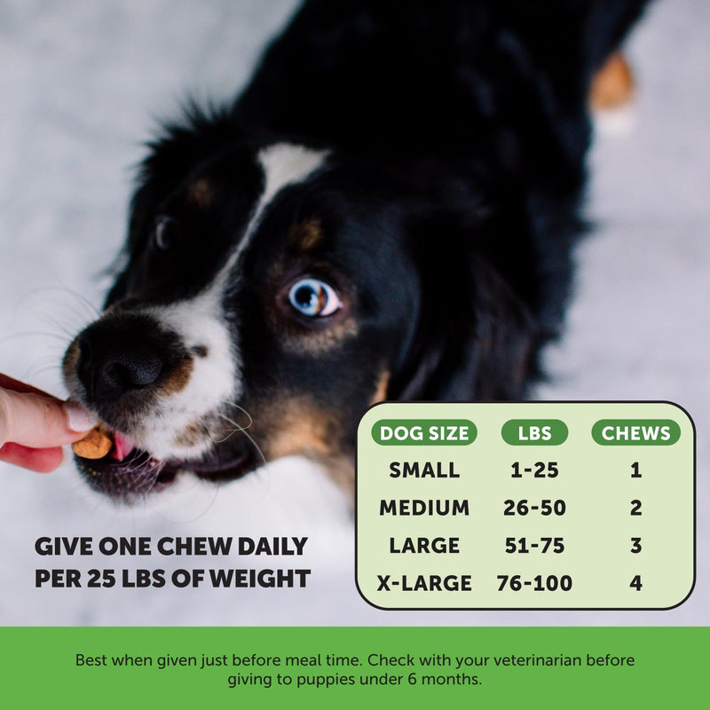 Pet Honesty Grass Green Max Strength Burn Spot Chews for Dogs - Premium Formula - Dog Pee Lawn Spot Saver Supplement Caused by Dog Urine, Dog Antioxidant with Probiotics + DL-Methionine (Duck 90 ct) Max Strength - Duck - PawsPlanet Australia