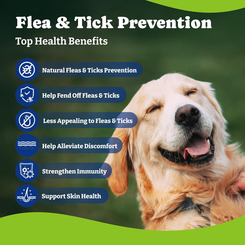 Dog Allergy Relief Chews – 70 Count + Flea & Tick Defense Chews 180 Count (2.0 Formula)
