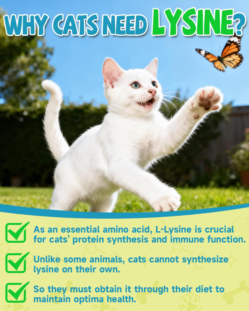 Taurine for Cat Vitamins Treat + Lysine for Cats