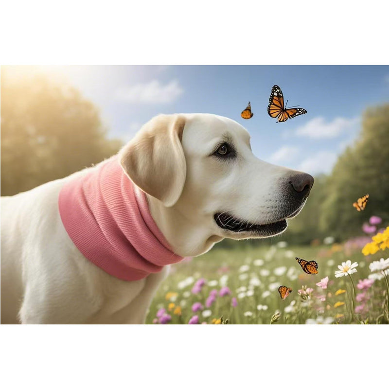 Dog Ear Wrap, Dog Ear Head Wrap Anxiety Relief – Noise Canceling for Fireworks, Thunderstorms, Pet Grooming & Force Drying (Pink M) Pink Medium