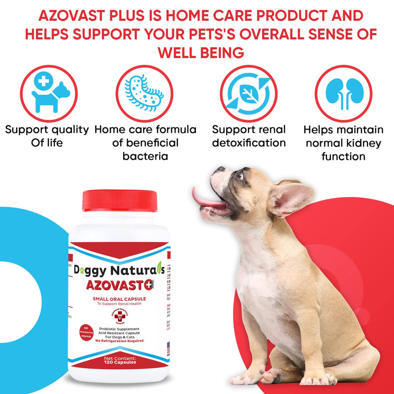 Azovast Plus Kidney Health Supplement for Dogs & Cats, 120ct - NO Refrigeration Required - Help Support Kidney Function & Manage Renal Toxins - Renal Care Supplement Capsule(U.S.A) 120 Caps (Pack of 1) - PawsPlanet Australia