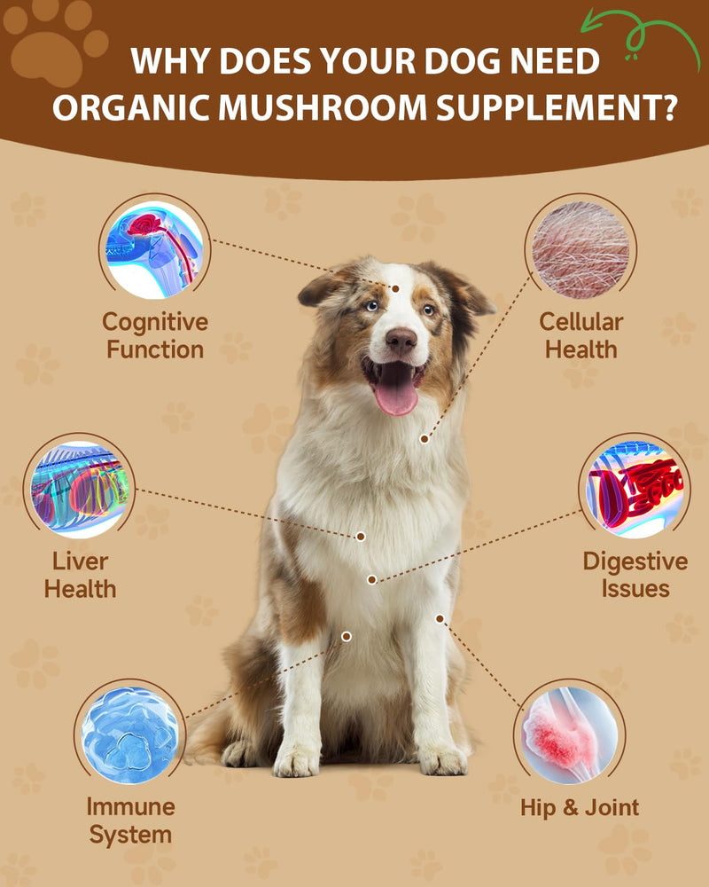 Mushroom for Dogs, 9 Organic Mushroom Supplement with Turkey Tail, Reishi, Lions Mane & Lysine for Cats - Support Immune System, Respiratory, Eye Health