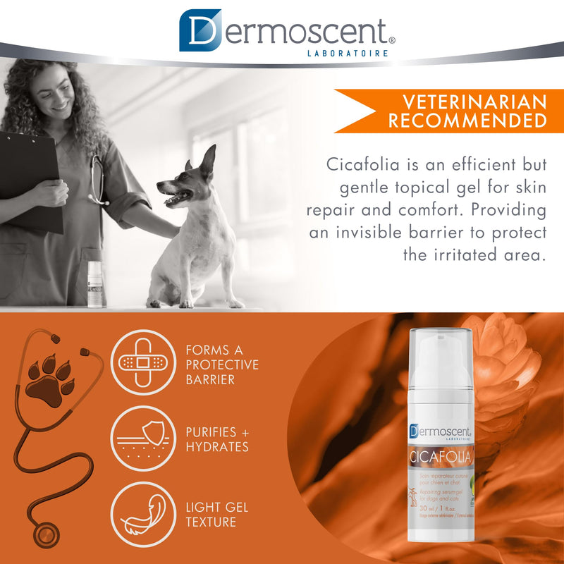 Cicafolia Skin Repair Gel-Serum for Dogs and Cats | Natural Skin Healing Solution | 30 ML