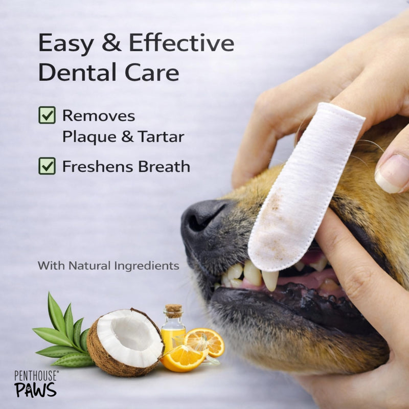 PENTHOUSE PAWS Dog Dental Wipes for Teeth Cleaning, 50 Finger Wipes for Dogs & Cats, Helps Reduce Plaque & Tartar, Fresh Breath Support, Aloe Vera & Coconut Oil, Toothbrush & Toothpaste Alternative