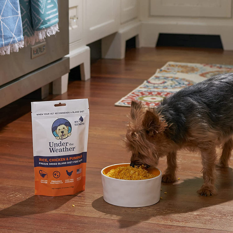 Under the Weather Easy to Digest Bland Dog Food Diet for Sick Dogs | Contains Electrolytes - Gluten Free, All Natural, Freeze Dried 100% Human Grade Meats | 6 Pack - Rice, Chicken & Bone Broth Rice, Chicken & Pumpkin 6 Ounce (Pack of 2)