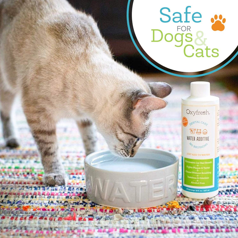 Oxyfresh Premium Pet Dental Care Solution Pet Water Additive: Best Way to Eliminate Bad Dog Breath and Cat Breath - Fights Tartar and Plaque - So Easy, Just Add to Water. Best Seller (16 oz) - PawsPlanet Australia