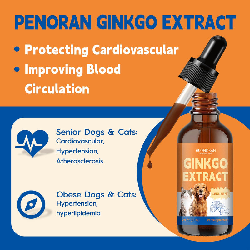 Ginkgo Brain & Heart Support Drops for Dogs, Senior Dogs & Cats Cognitive & Memory Support, Blood Pressure, Cholesterol, Fights Mental Fog, with Curcumin & Lecithin & Multivitamins ﻿