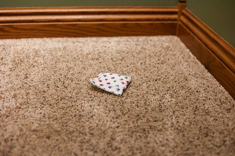 Dog Marking Prevention - Indoor -Permanent - Effective - Stops Dogs from Marking or Peeing - eliminates a pet urge to Mark- Put Bag Down and Your Problem is Solved (White(Rainbow Paws)) - PawsPlanet Australia