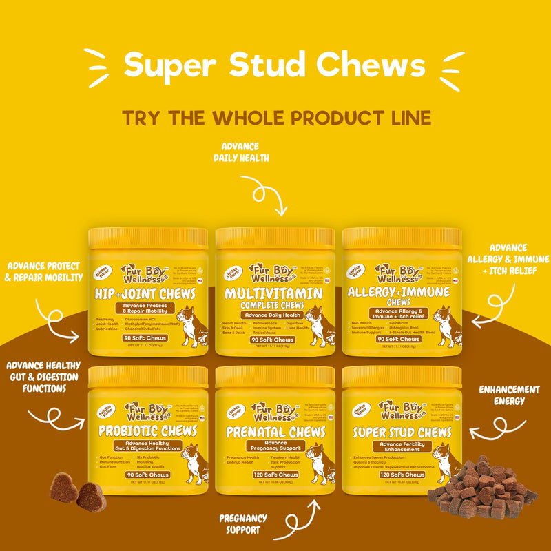 Reproductive Health Supplement for Dogs - Fertility & Breeding Support Soft Chews with L-Carnitine, Zinc, Ginseng & Vitamins - Boosts Reproductive Cells, Testosterone & Vitality - 120 Count