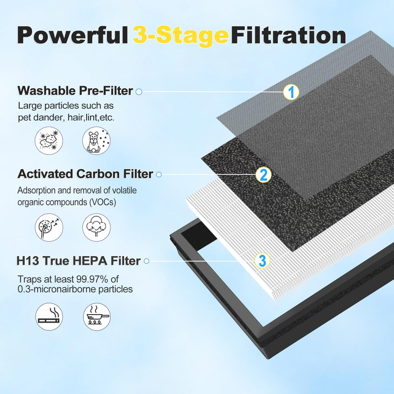 4Pack HAP602 Replacement Filter Compatible with ECOSELF HAP602 HAP602WF Air Purifier, 3-in-1 Composite HEPA Activated Carbon Pre-Filter, Black 4Packs