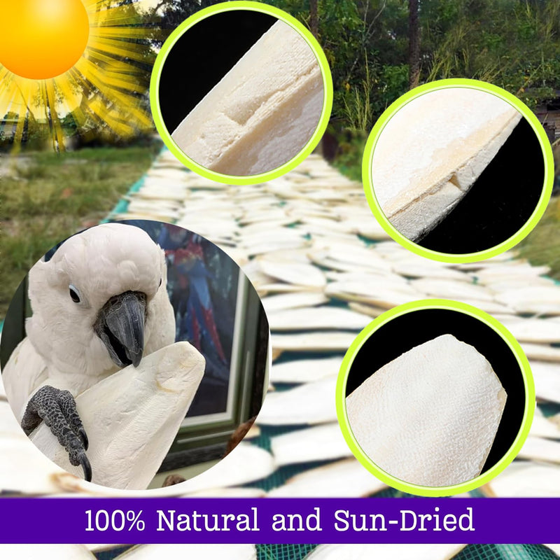 Bird Cuttlebone for Parakeets Cuttlebone for Birds - 100% Natural Cuttlefish Bone Bulk Chew Toy Bird Bites Calcium Stone for Canaries Tortoises,Snails,Reptiles,Parrots,Cockatiel 30PCS