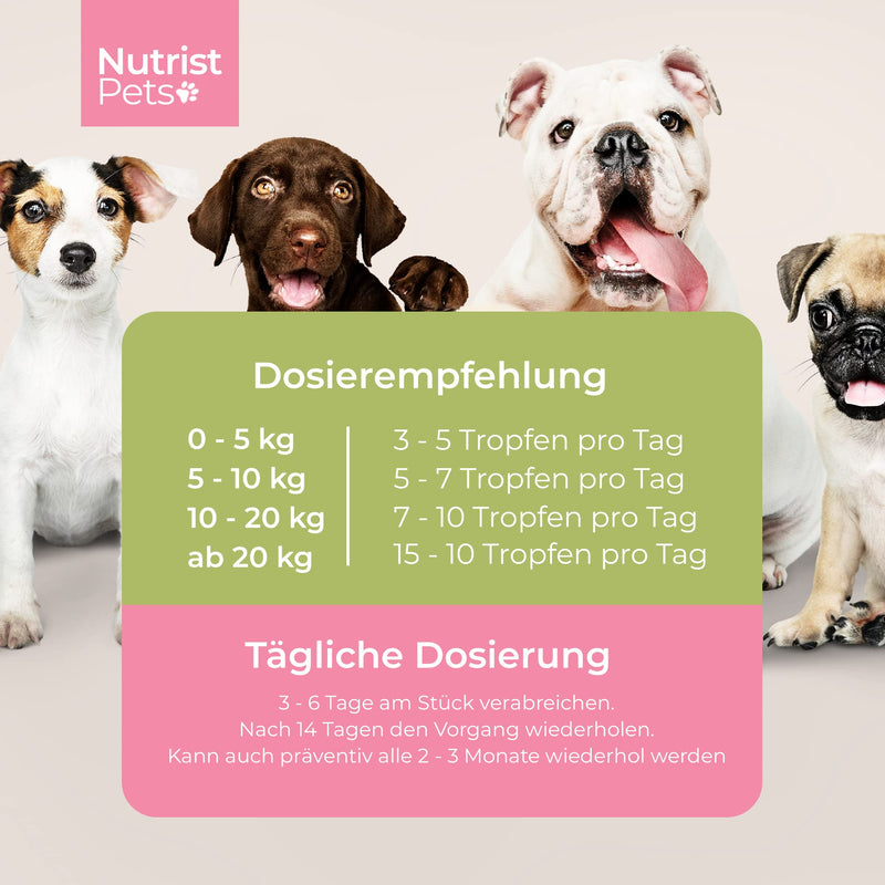 nutrist New: Natural worm treatment alternative - Vegan liquid made from herbs for the stomach and intestines in case of worm infestation - Perfect as a worm treatment for dogs - Ideal for deworming - 50ml - PawsPlanet Australia