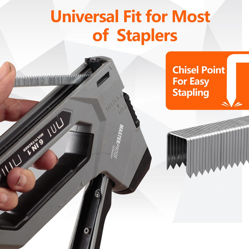 3/8 Inch Length Beveled Chiseled Pointed Heavy Duty T50 304 Stainless Steel Staples 2000-Count, A11 20 Gauge for Pneumatic, Electric T50 Stapler 3/8 Inch