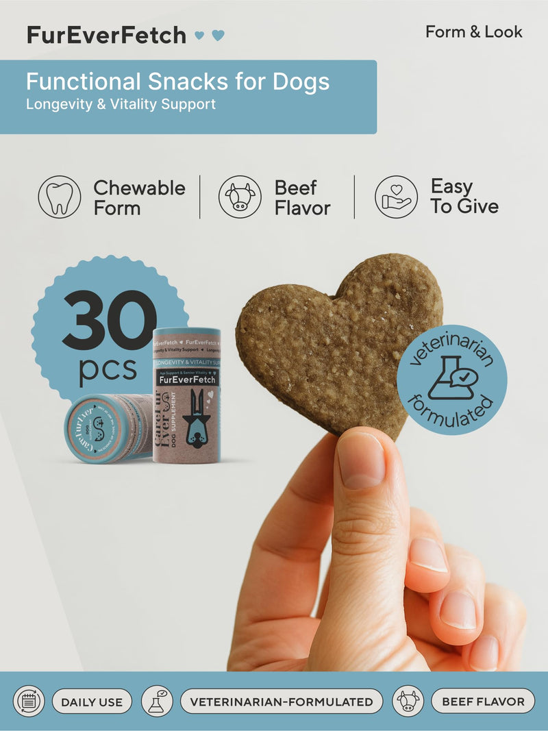 Supplement Treats for Senior Dogs ~ Cognitive Support | Premium Canine Longevity Stack | Lion's Mane, Turkey Tail & Phosphatidylserine | Biohacking Brain Health Formula | Beef Flavor