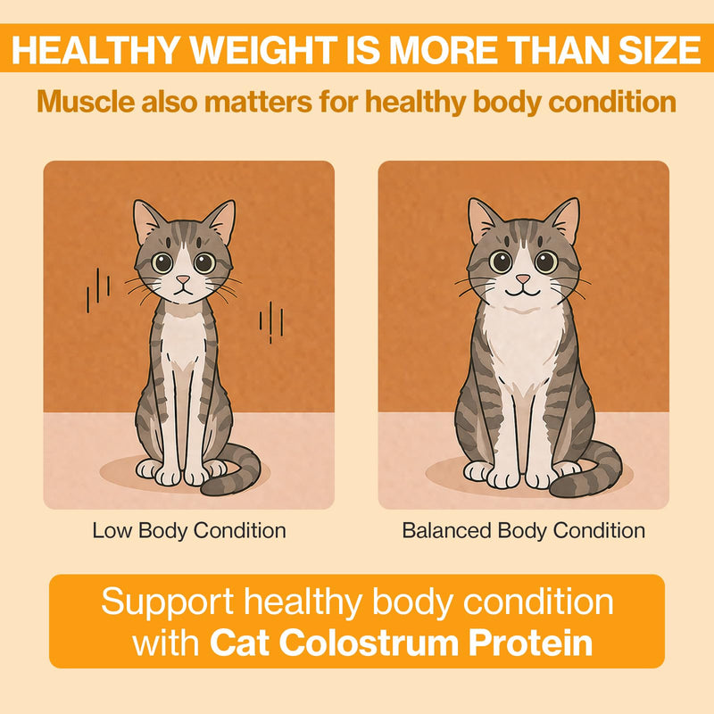 Doctor By Cat Colostrum Protein Cat Supplement Immune Support Muscle Growth, Gentle on Digestion for Kittens, Adult&Senior Cats with Goat Milk, Whey Protein Isolate, Colostrum Lickable Formula