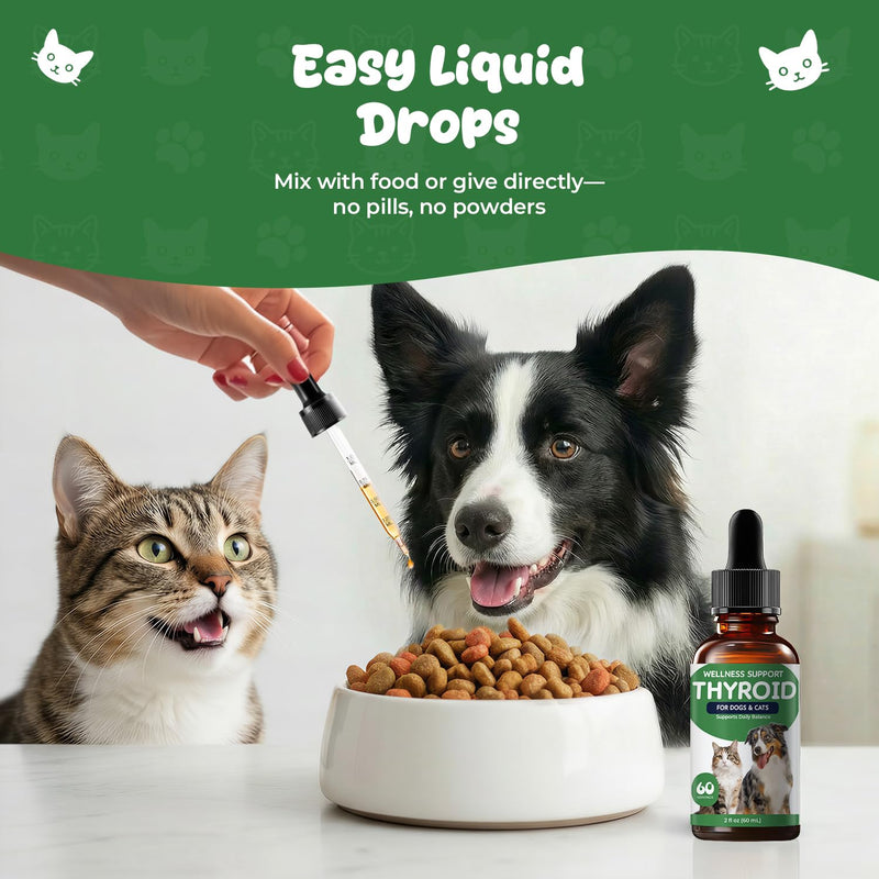 Thyroid Support for Dogs & Cats, Herbal Appetite Stimulant & Metabolism Support Drops with Bladderwrack, Astragalus & Nettle Leaf, Helps Maintain Healthy Weight, Energy & Daily Vitality, 2 fl oz
