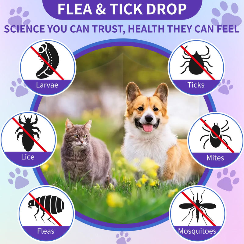 Cat Constipation Relief + Flea and Tick Support for Dogs and Cats – Natural Digestive Health & Natural Flea Protection for Cats and Dogs for All Breeds