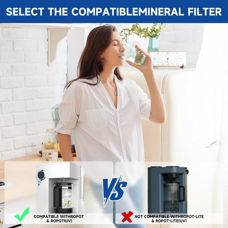 ROPOT Replacement Filter Compatible with Bluevua RO100ROPOT RO100ROPOT-UV Alkaline Mineral Remineralization Filter (4 Pack) ROPOT