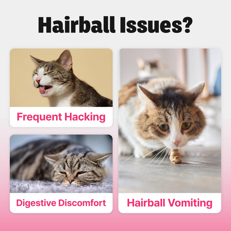 Cat Hairball Treatment – Lickable Supplement with Natural Fiber for Hairball Relief – Supports Digestion & Furball Control, Hairball Remedy – Daily for Cats, Chicken Flavor with Goat Milk, 30 Tubes