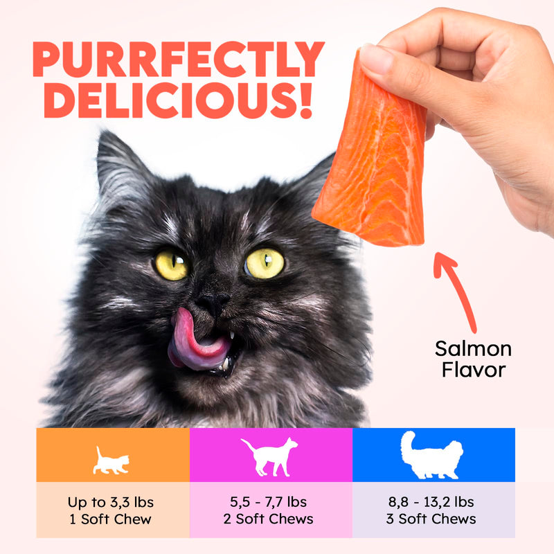 Cat Vitamins for Indoor & Outdoor Pets - 200 Chews - Healthy Cat Treats - Immune, Joint Support, Skin & Digestion - Multivitamin with Omega 3s, Glucosamine & Probiotics