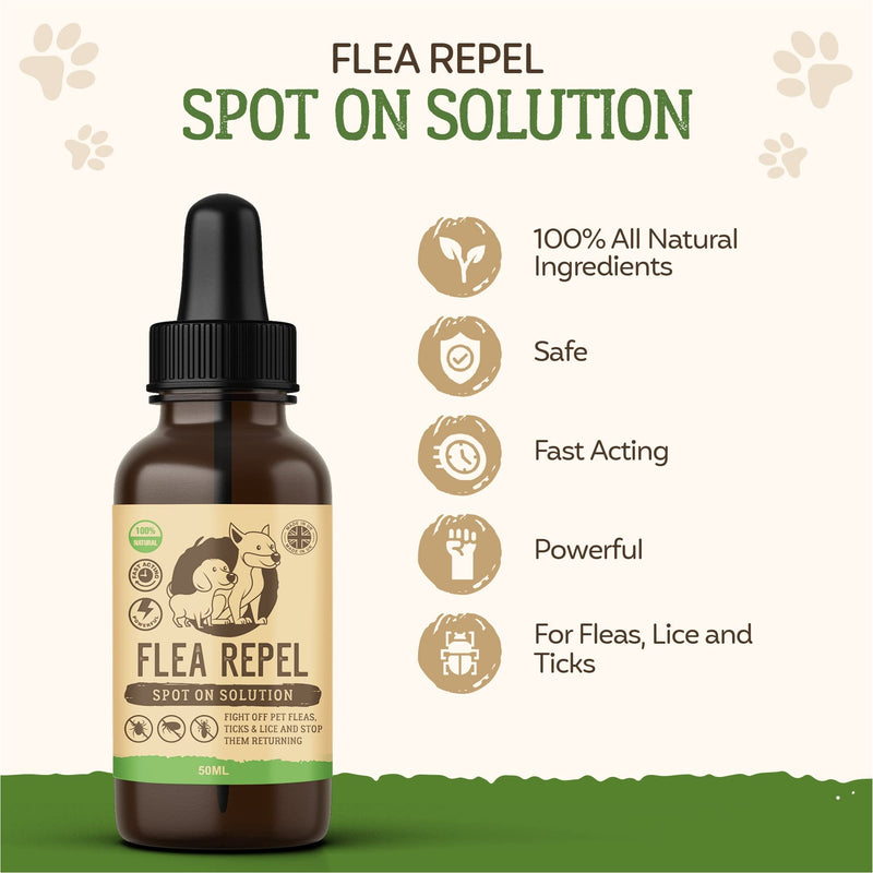 Flea Treatment for Dogs | Works on Flea & Tick | All Natural Safe Formula & Easy To Apply | Spot On Application - PawsPlanet Australia