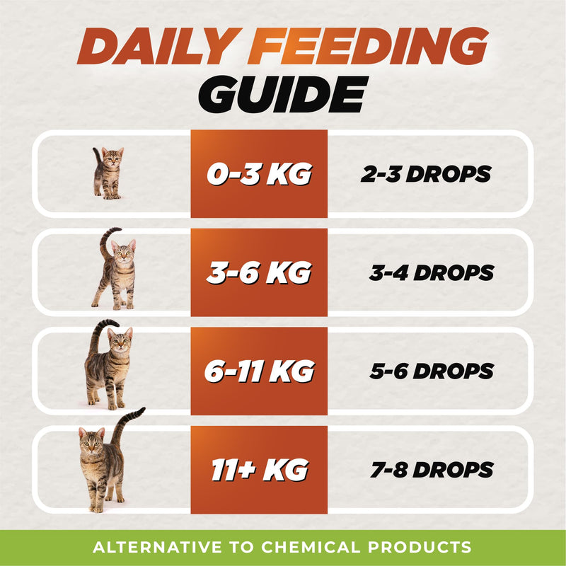 Natural Dewormer for Cats | Herbal Blend with 3 Powerful Medicinal Herbs | 100% Natural | Supports Gut & Intestinal Health | Gentle Yet Effective - PawsPlanet Australia