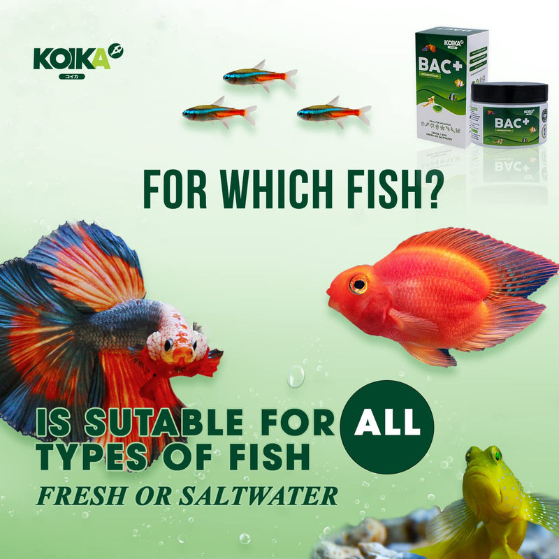 KOIKA BAC+ Aquarium Probiotics Powder, Improves Water Conditions for Fish and Shrimp, Supports Clean Water and Tank Balance, for Aquatic Use Only (BAC+(Powder), 2.82 oz) BAC+(Powder) 105ml