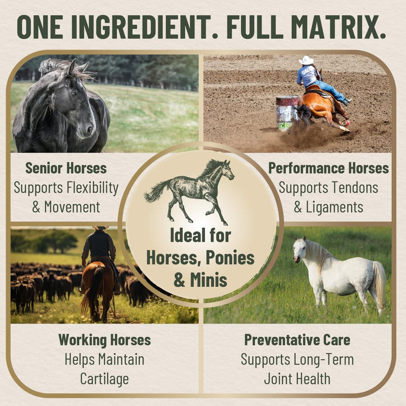 Eggshell Membrane Collagen for Horses – Natural Joint Supplement for Mobility, Cartilage, Tendons & Ligaments – Supports Flexibility – Pure Eggshell Membrane – Made in USA – 5.5 oz