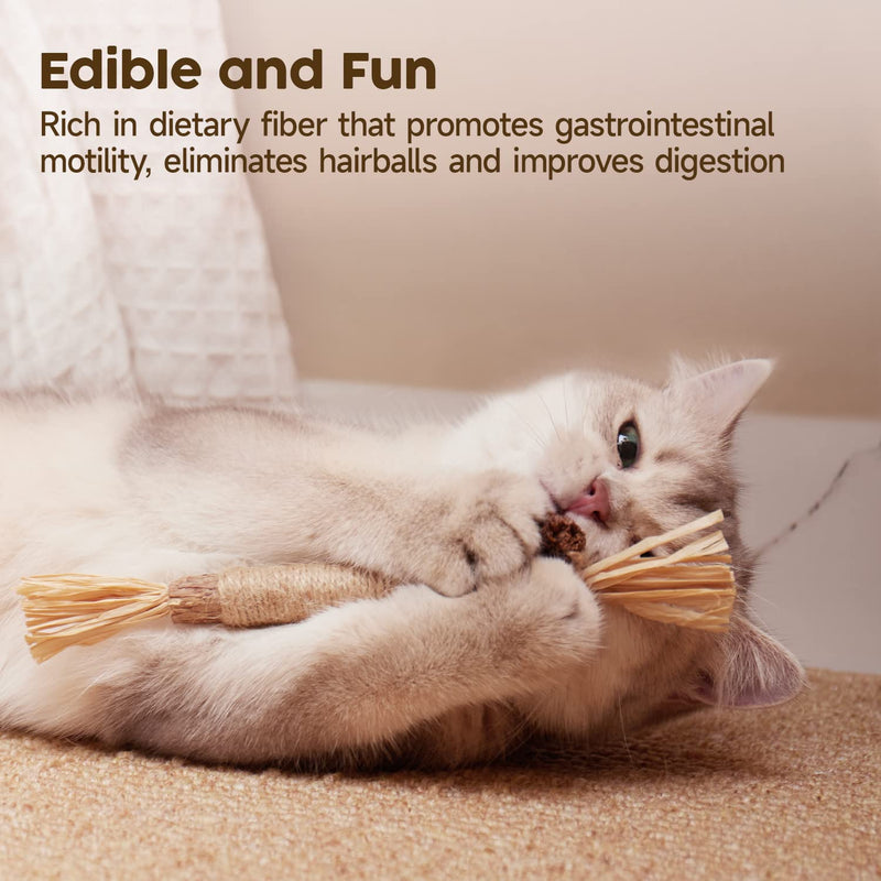 Potaroma 6 Pcs Natural Silvervine Sticks Cat Toys, Catmint Silvervine Blend Sticks, Kittens Chew Toys for Teeth Cleaning, Matatabi Dental Care Cat Treat, Edible Kitty Lick Toys (Pack of 2)
