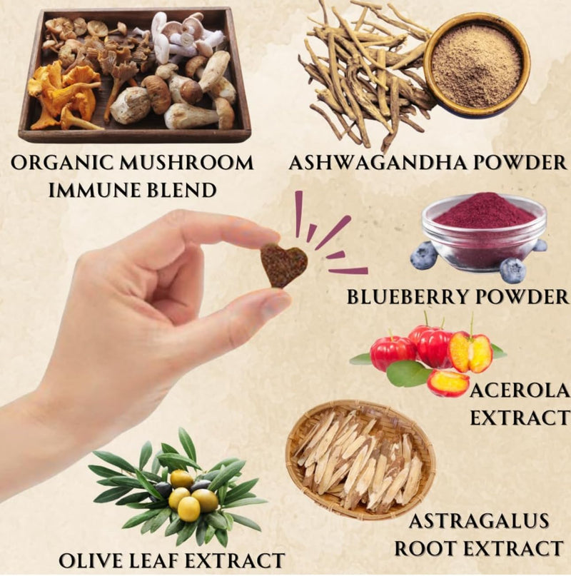 Advanced Liver Support & Turkey Tail Mushroom Chews for Dogs – Milk Thistle, Same, Turmeric & Organic Mushroom Blend – Immune, Liver, Kidney, Gut & Joint Health Support – 90 + 90 Chews