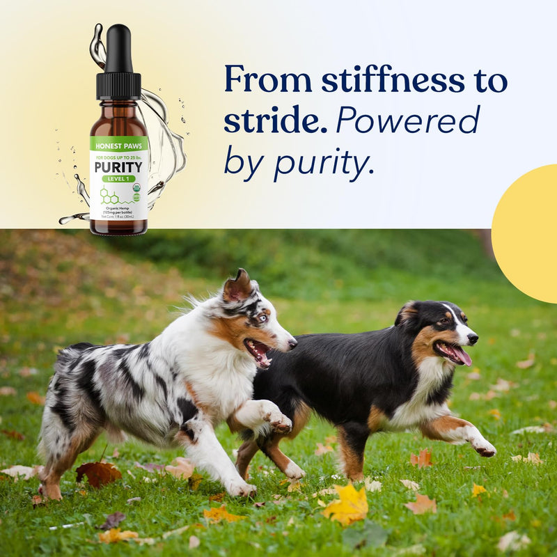 Honest Paws Hemp Oil for Dogs - Natural Hemp Seed Oil Calming Purity Drops for Dogs - Rich in Omega 3 6 9 to Promote Healthy Bones, Joint Support, Relaxation, Managing Normal Stress - Made in The USA