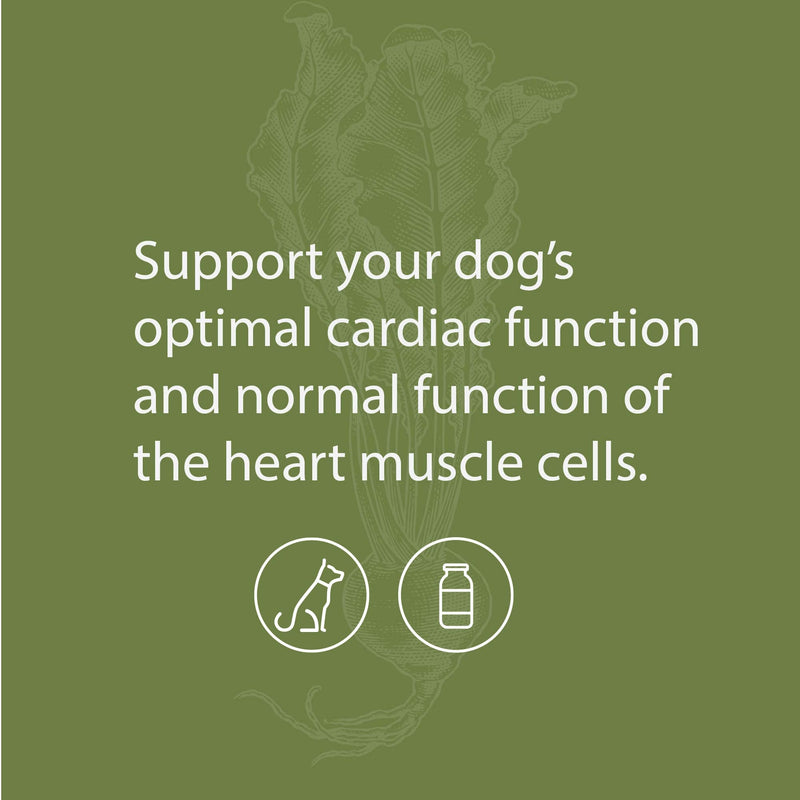 Standard Process Canine Cardiac Support - Dog Heart Health Support Supplement - Nutritional Supplement Formula to Support Cardiac Function - Pet Health Supplement with Selenium - 25 g 25 Grams (Pack of 1) - PawsPlanet Australia