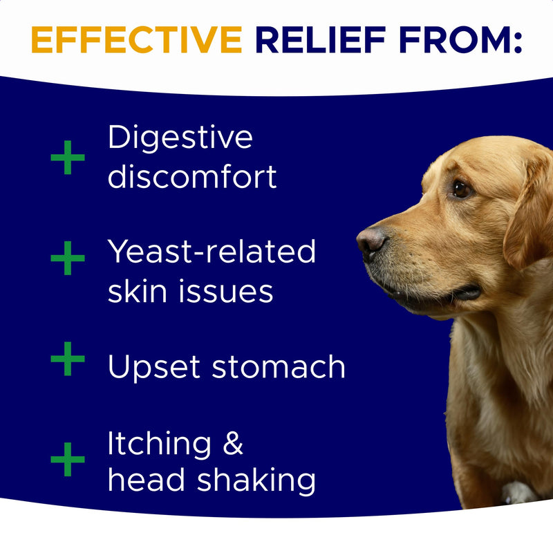 Probiotics for Dogs Gut Health & Digestive Function Support - Probiotic Chews w Pumpkin & Omega - Upset Stomach & Gas Relief, Constipation, Canine Prebiotic Supplement Hickory Bacon 120 Probiotics Chews - PawsPlanet Australia