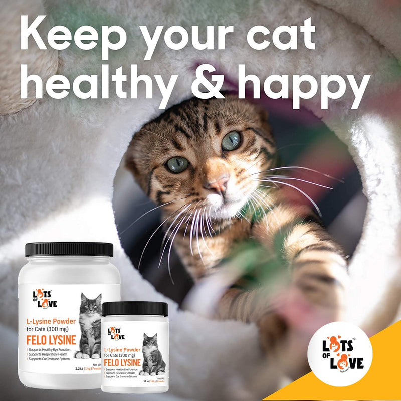 FELO LYSINE - L-Lysine Powder for Cats 300 mg (Thomas Pet Earlier), 12 oz 12 oz (340 g) Powder - PawsPlanet Australia
