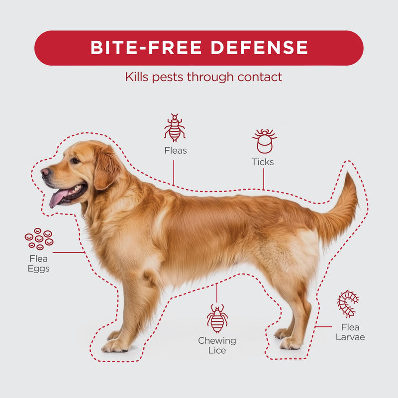 FirstAct Plus Flea Treatment for Dogs, Extra Large Dogs 89+ lbs, 6 Doses, Same Active Ingredients as Frontline Plus Flea and Tick Prevention for Dogs