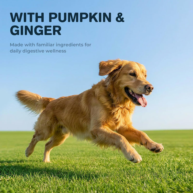 Dog Upset Stomach Relief, Sensitive Stomach Support & Constipation Relief for Dogs, Gut Balance Powder with Pumpkin & Ginger, Easy-to-Mix Digestive Comfort Supplement, 60 g