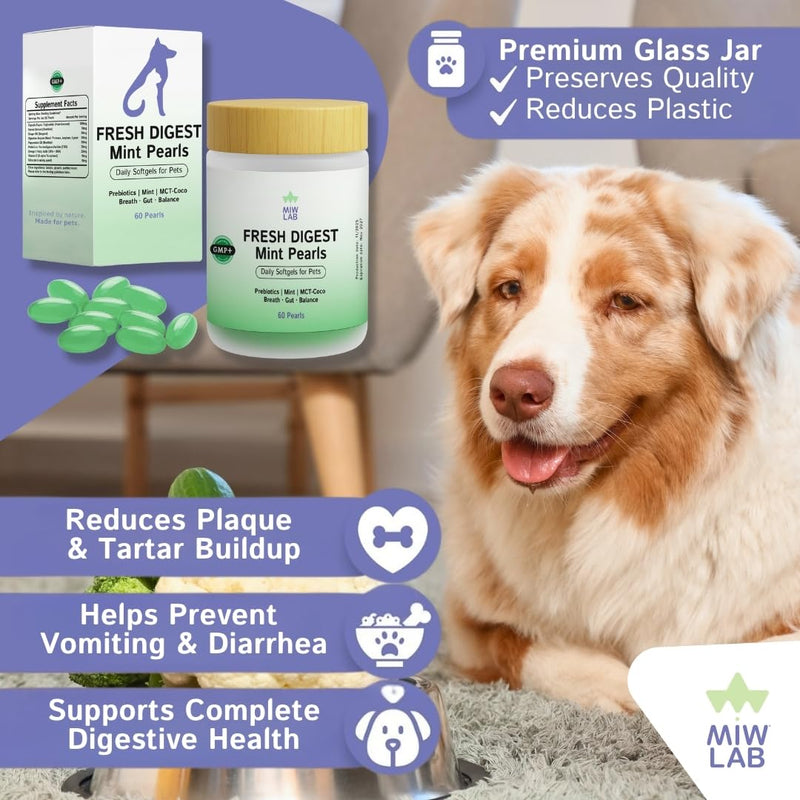 Dog & Cat Breath Mints Freshener Remedy for Oral Bad Odour Supports Hygiene & Gut Health with Natural Mint & Ginger Oil 60 Soft Capsules for Pet Care Prebiotics & Digestive Enzymes