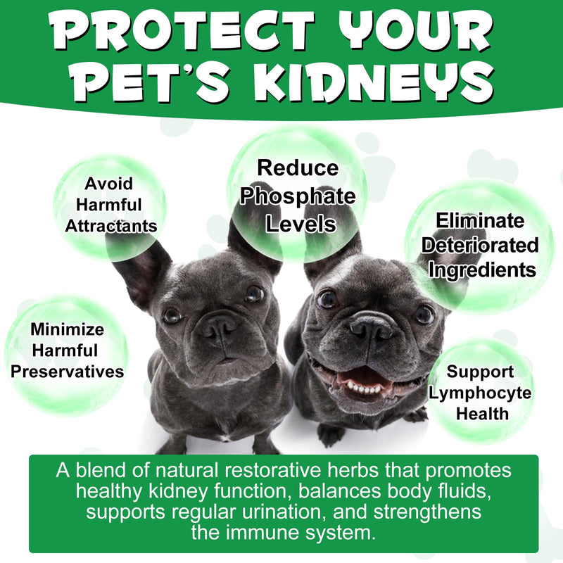 Kidney Support for Dogs - Kidney Support Supplement, Supports Immune, Urinary & Kidney Health Function, Natural Herbal Supplement (2 Fl Oz) 2 Fl Oz - PawsPlanet Australia