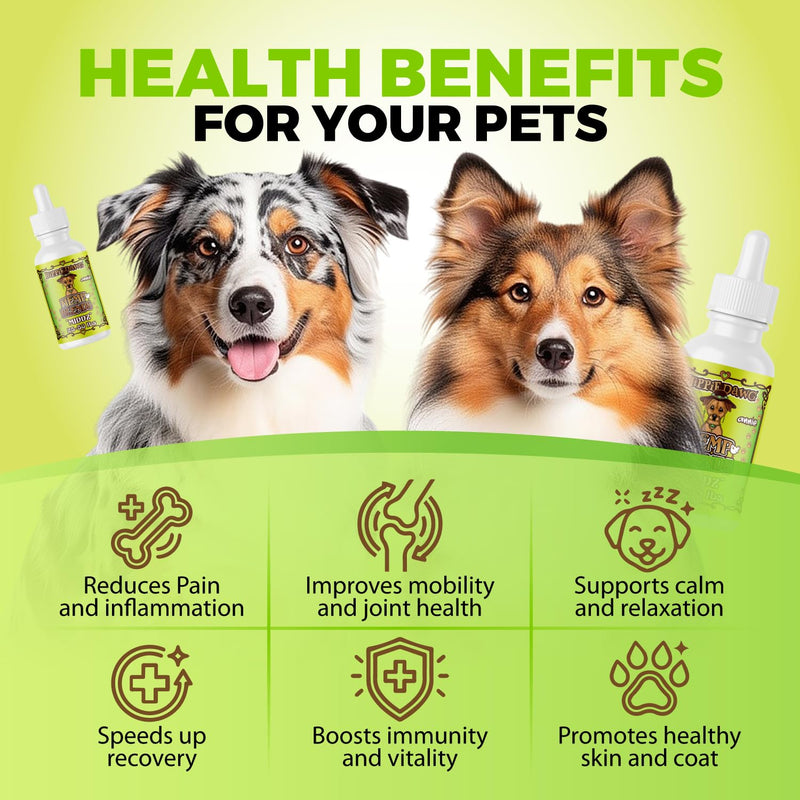 Hippie Dawg Middz Hemp Oil for Medium Dogs (26-50 lbs) - Advanced Hip and Joint Support with Glucosamine, Collagen & Hyaluronic Acid - Natural Calming Tincture for Recovery & Wellness - 1oz