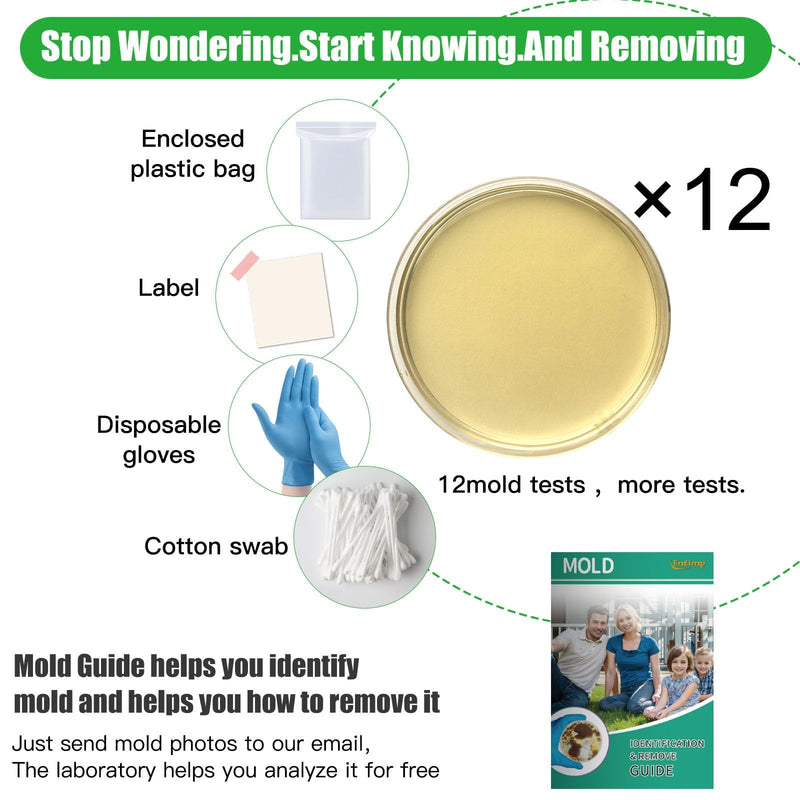 Mold Test Kit for Home Within 12 Individual Tests,DIY Detector at Home, Surface Mold,HVAC,Indoor Air Quality Testing Kits,Black Mold Testing,Includes Detailed Mold Identification Guide and Free Lab