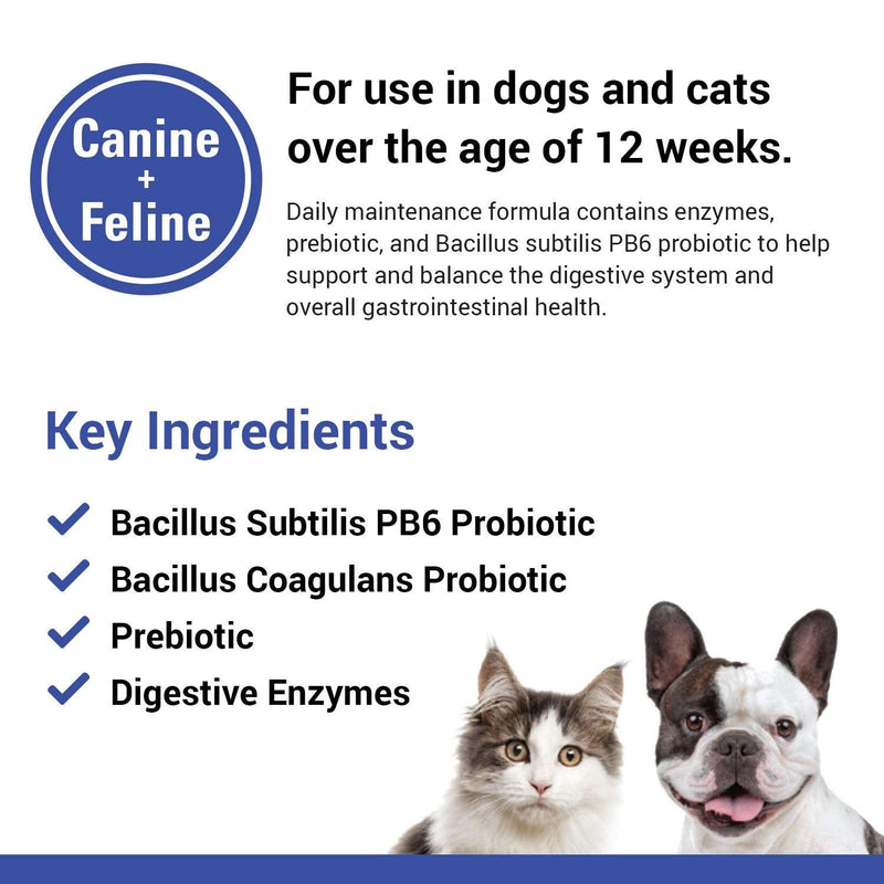 Vet Classics Protegrity EZ Probiotic Health Supplements for Dogs, Cats – Dog Digestive Support, Pet Gastrointestinal Health, Cat Stomach, Intestinal Balance – Pet Enzymes – Powder/Soft Chews 4 oz Powder - PawsPlanet Australia